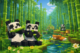 BLOCK WORLD